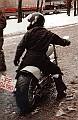 Bolla 06